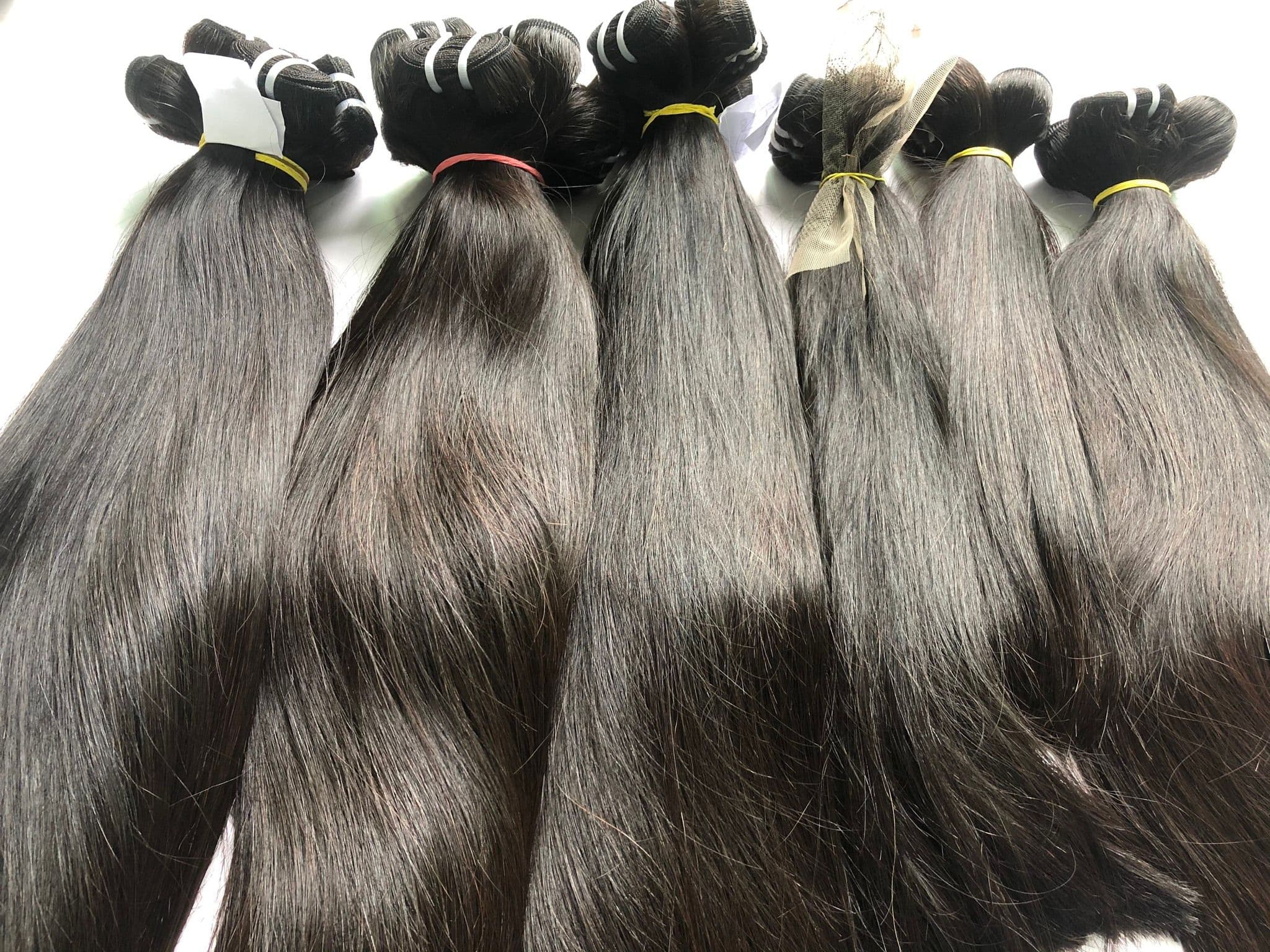 One donor hair